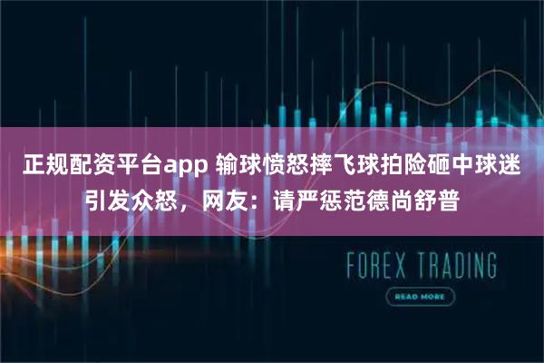正规配资平台app 输球愤怒摔飞球拍险砸中球迷引发众怒，网友：请严惩范德尚舒普