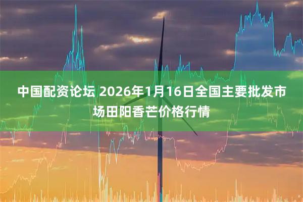 中国配资论坛 2026年1月16日全国主要批发市场田阳香芒价格行情