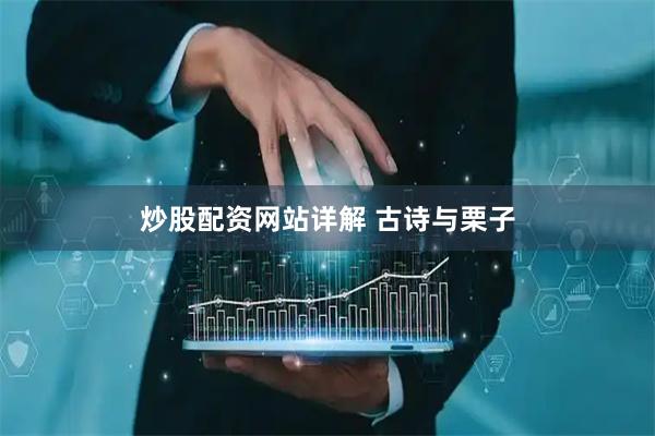 炒股配资网站详解 古诗与栗子