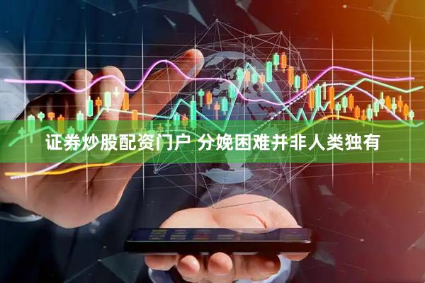 证券炒股配资门户 分娩困难并非人类独有